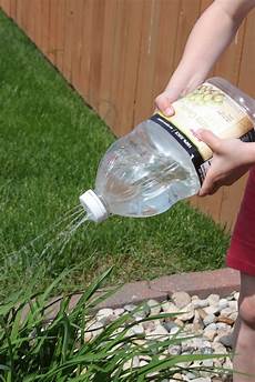 Lamp recycling