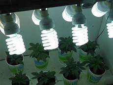 Led plant lamp