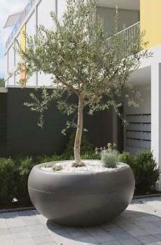 Outdoor wall lamps