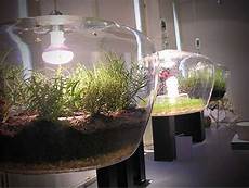 Plant lamp led