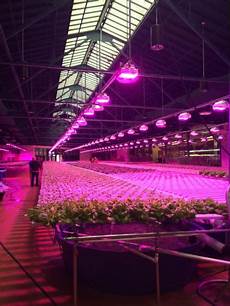 Plant lamp led