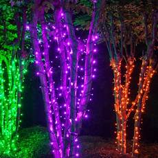 Purple lamp