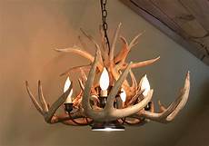 Real Antler Chandelier