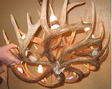 Real Antler Chandelier