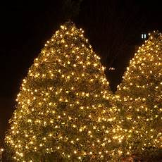 Tree lamp